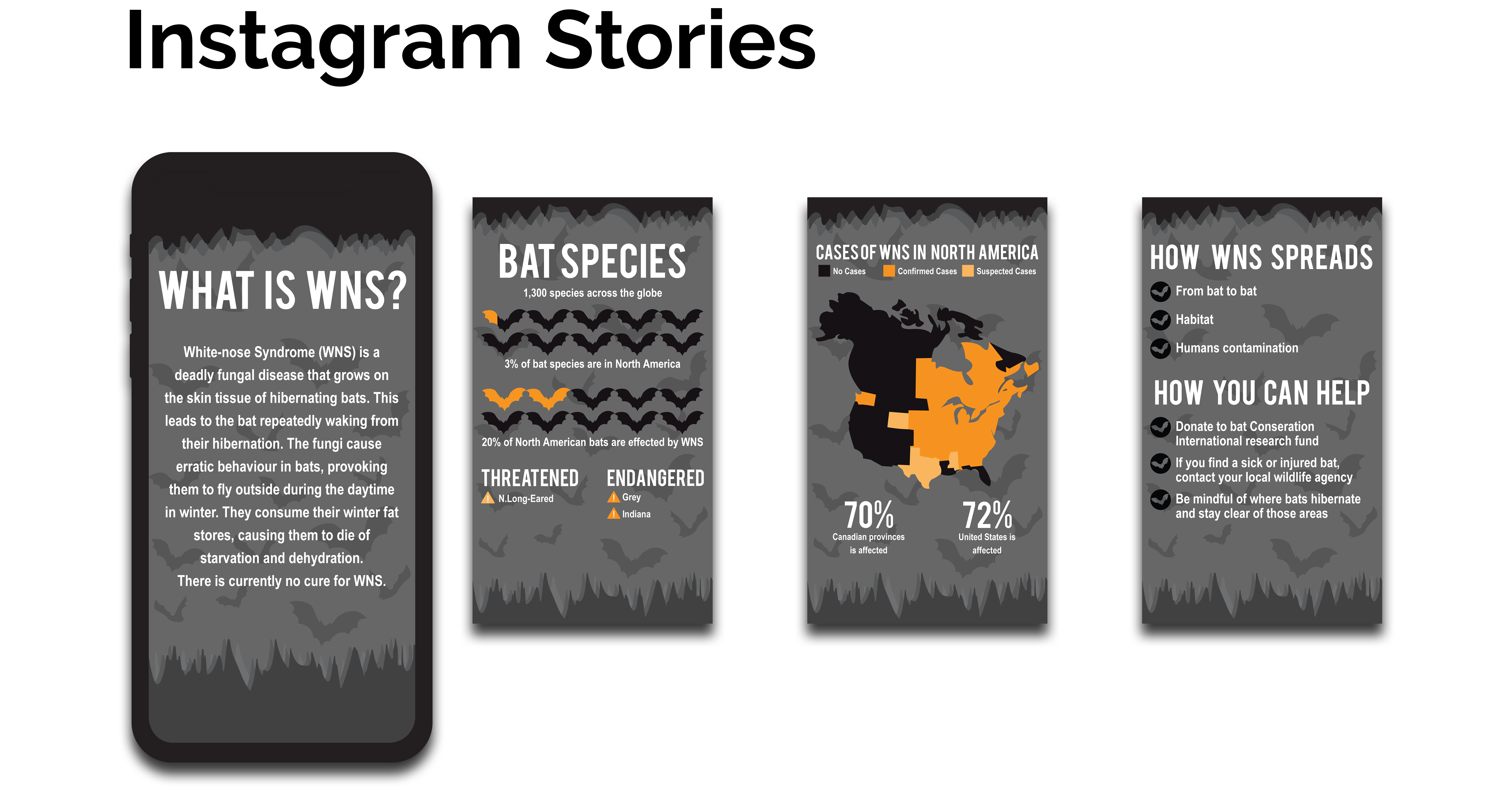 Image of Instagram social media bat infographic post