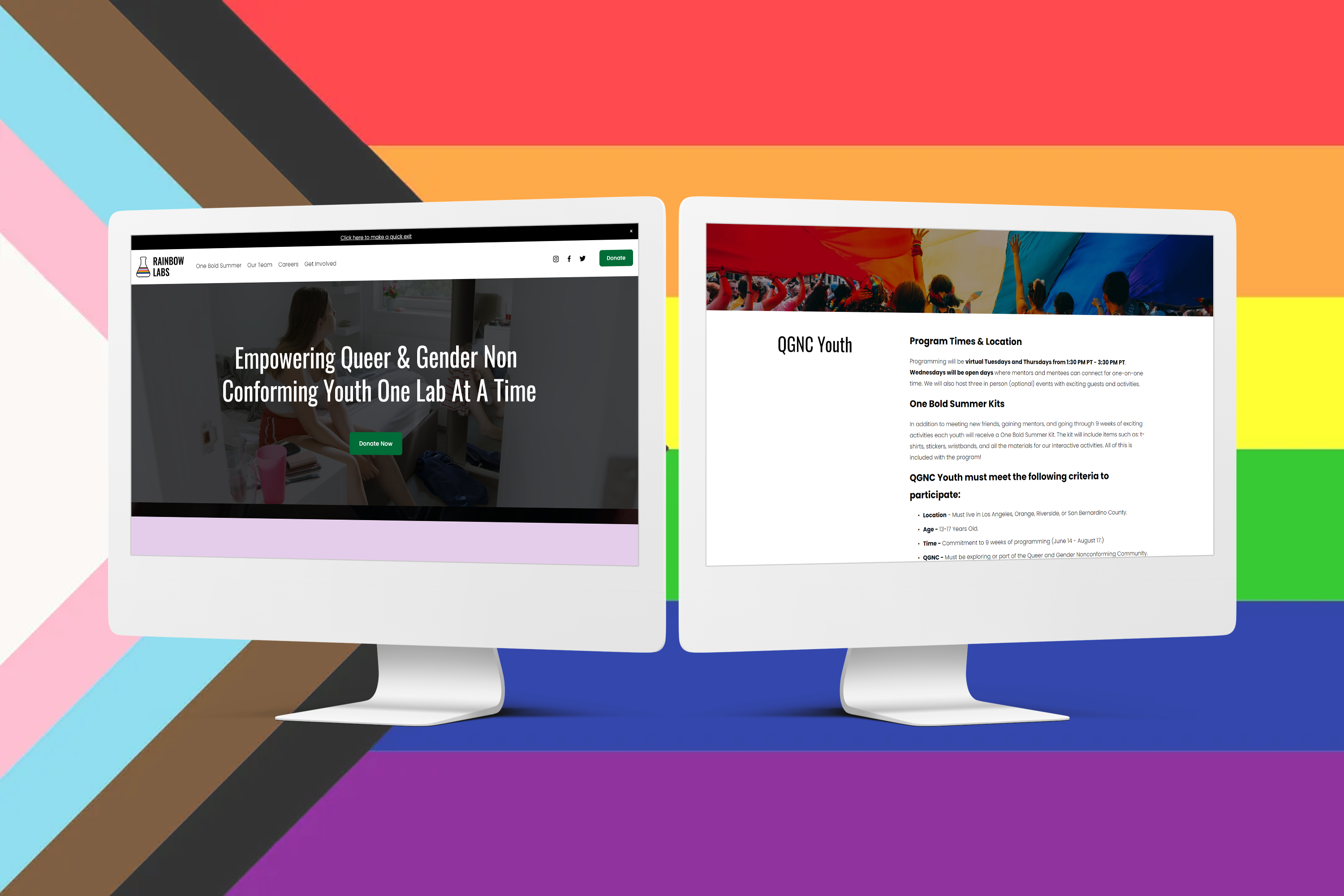 Image of the Rainbow Labs Website